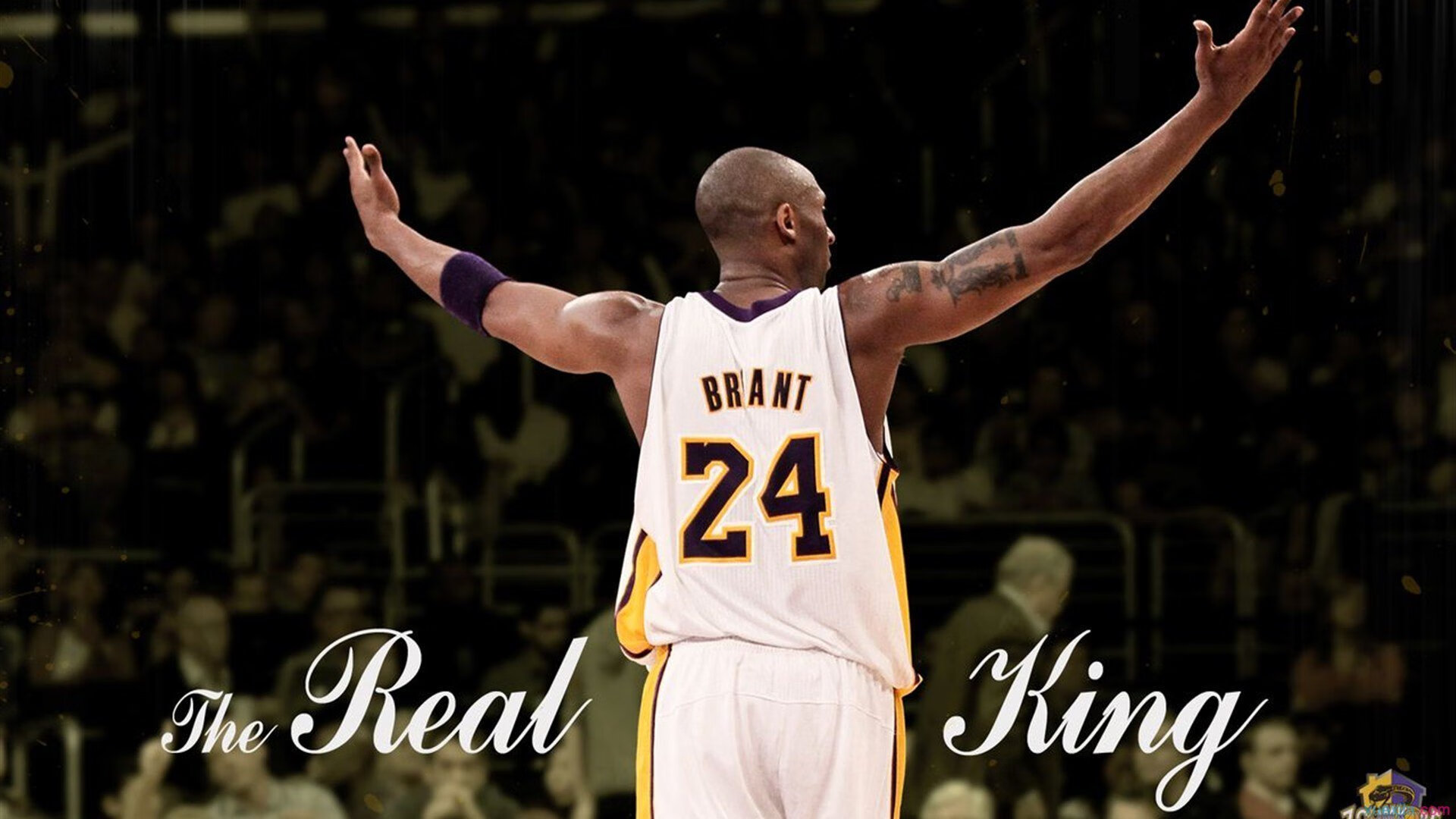 篮球赛事现场直播互动平台用户增长，篮球直播平台有哪些